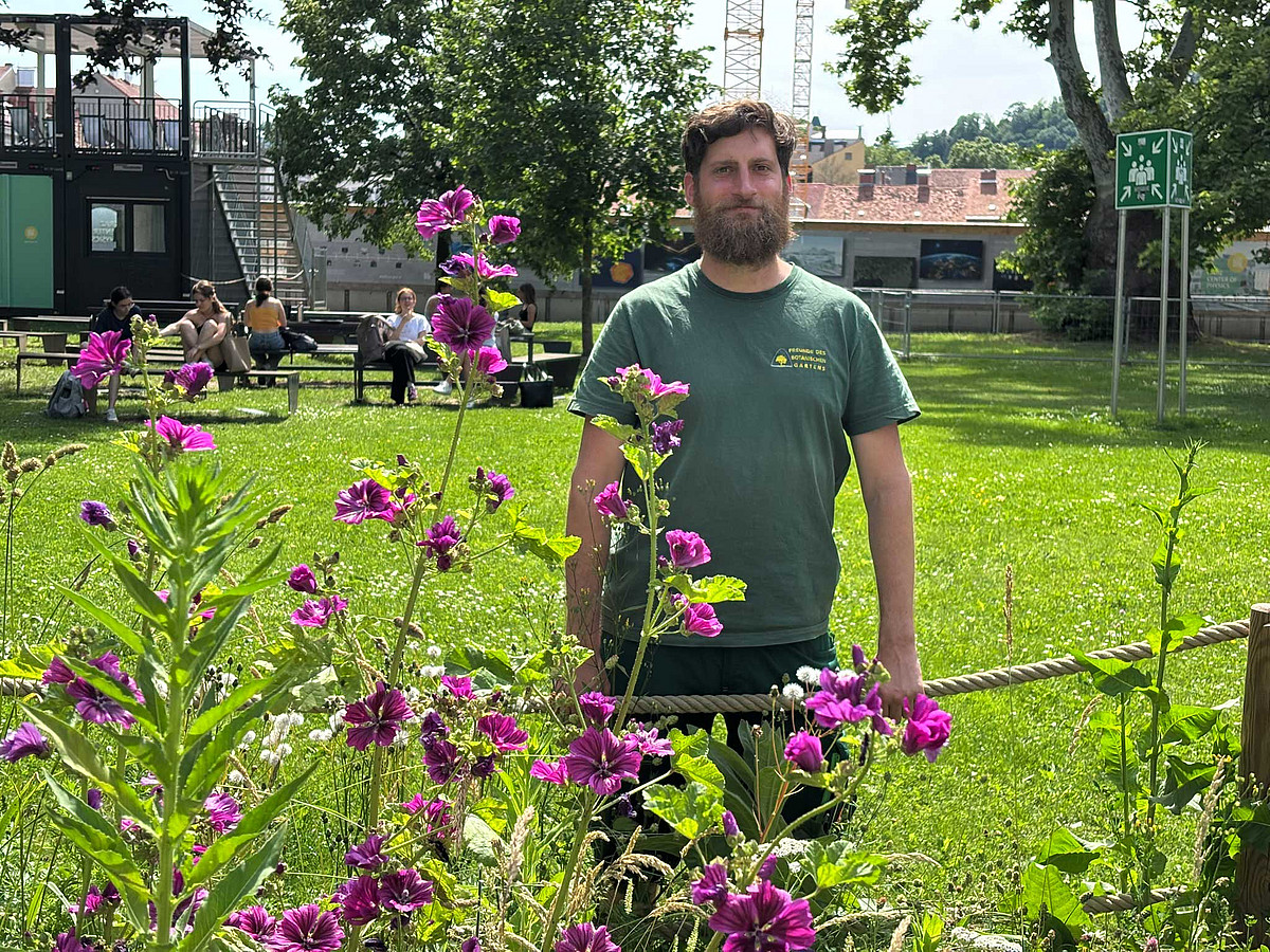 Buntes Beet: Farbenpracht auf der Campus-Blumenwiese