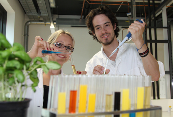 Forscher Runde Was willst du werden? - Universität Graz
